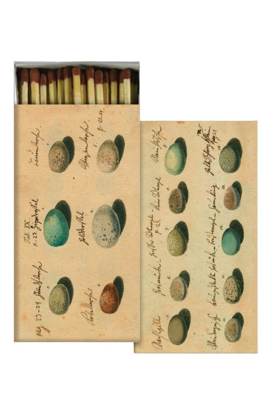 Home & Body HOMART | Homart Matches Eggs